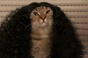 Löfli